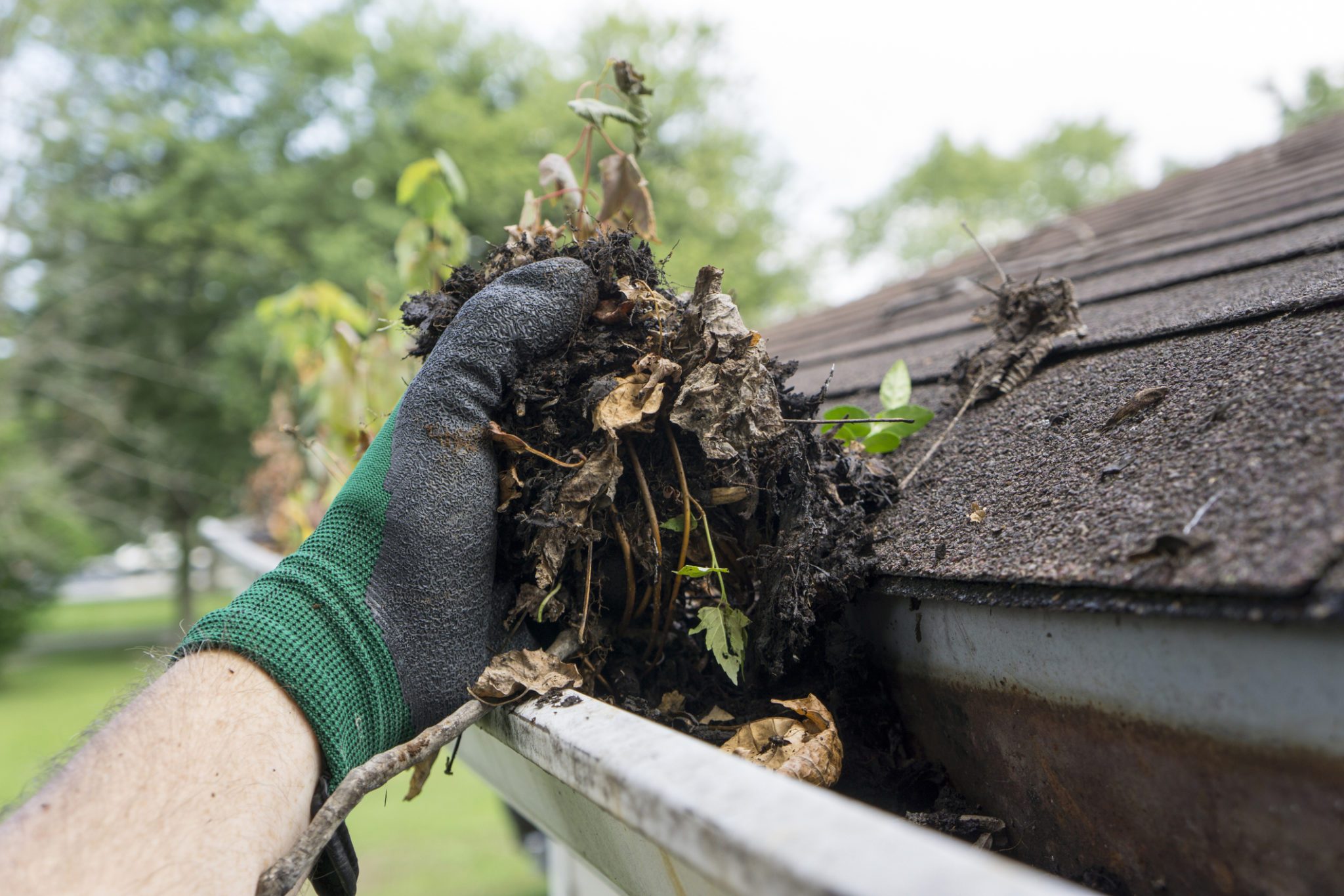 clogged-gutter-cleaning