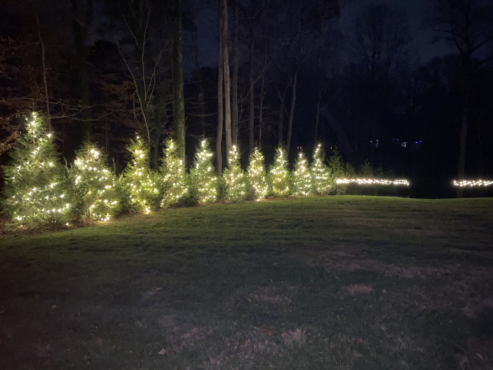 Professional Christmas lights Hickory NC home