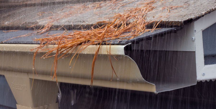 Pine-Needles-Keep-Out-of-Raindrop-Gutter-Guards